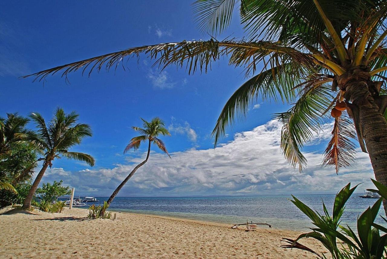 Malapascua Exotic Island Dive Resort Daanbantayan エクステリア 写真